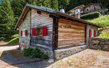 Chalet 3.5 pièces - image - 1