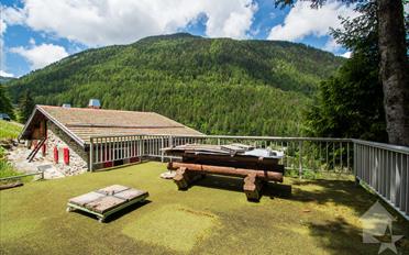 Chalet 3.5 Zimmer - image - 5