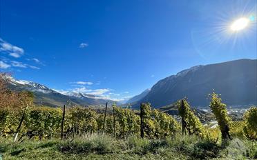 Wohngebäude 9 Zimmer - image - 8