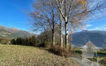 Terrain à bâtir - image - 6