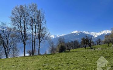 Terrain à bâtir - image - 1
