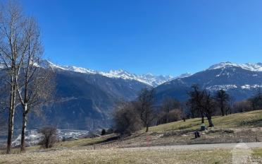 Terrain à bâtir - image - 4
