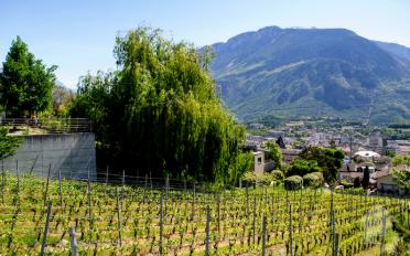 Bauland - image - 3