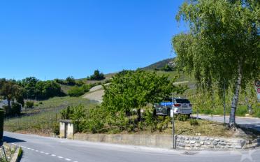 Bauland - image - 7