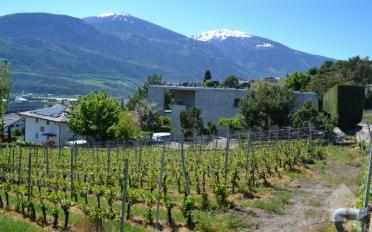Bauland - image - 6