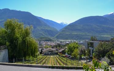 Bauland - image - 5