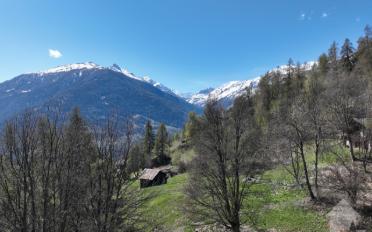 Bauland - image - 3
