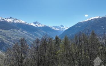 Bauland - image - 4