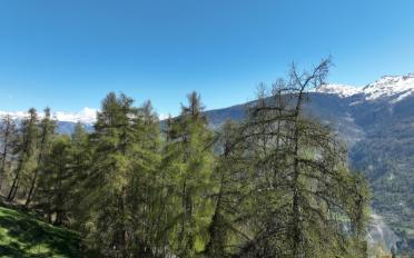 Bauland - image - 5