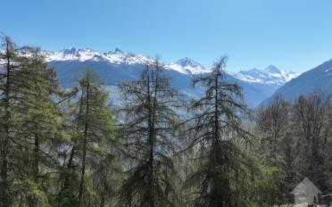 Bauland - image - 8