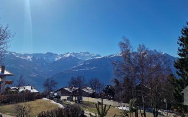 Chalet 5.5 rooms - image - 2