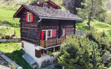 Chalet 4.5 pièces - image - 1