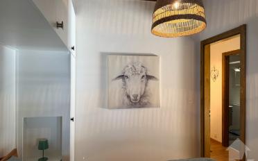 Furnished flat 2.5 rooms - image - 9