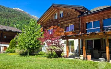 Doppeleinfamilienhaus 8.5 Zimmer - image - 3