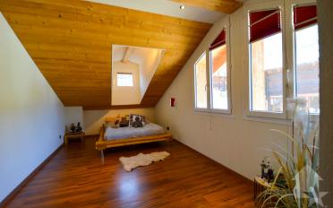 Doppeleinfamilienhaus 8.5 Zimmer - image - 8