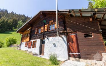 Chalet 4 rooms - image - 2