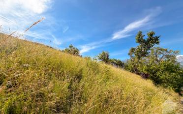 Bauland - image - 5