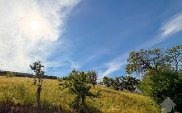 Bauland - image - 4