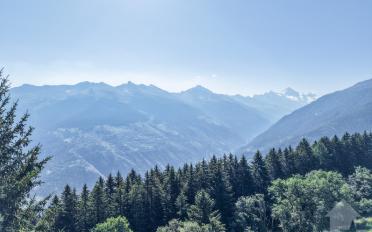 Chalet 6.5 Zimmer - image - 8