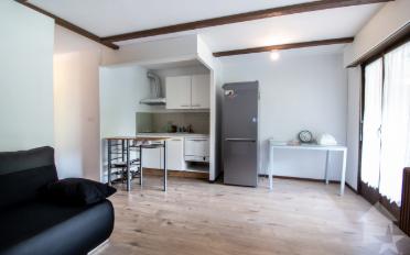 Furnished flat 2 rooms - image - 3