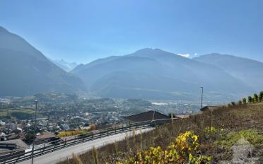 Bauland - image - 7