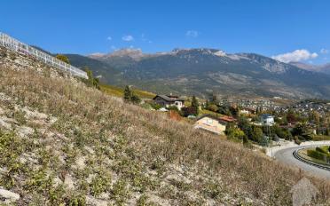 Bauland - image - 2
