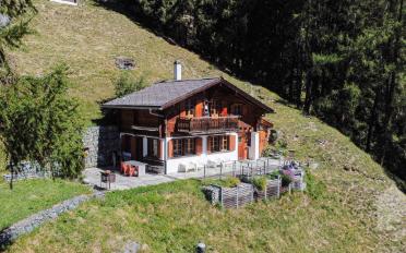 Chalet 4.5 Zimmer - image - 1