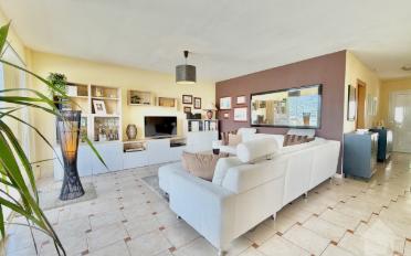 Terrace flat 3.5 rooms - image - 2
