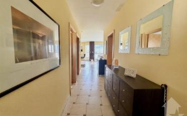 Terrace flat 3.5 rooms - image - 10