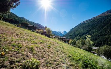 Building land - image - 3