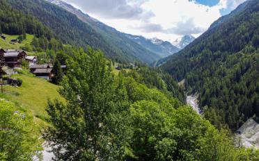 Bauland - image - 5