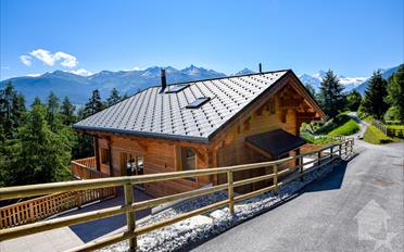 Chalet 7 pièces - image - 2