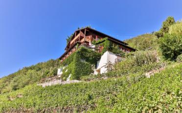 Single house 11 rooms - image - 3