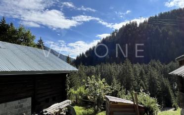 Chalet 3 Zimmer - image - 12