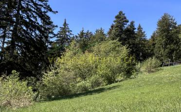 Terrain à bâtir - image - 5