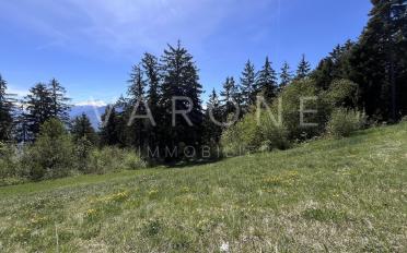 Building land - image - 4