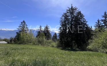 Building land - image - 2