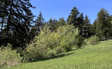 Building land - image - 5
