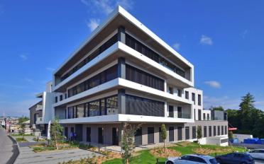 Workshop - image - 9