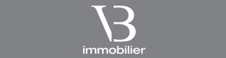 VB IMMOBILIER