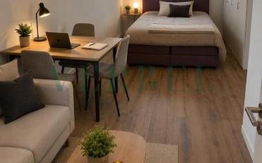 Studio 1.5 rooms - image - 1