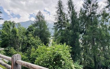 Chalet 5.5 pièces - image - 15