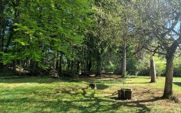Einfamilienhaus - image - 7