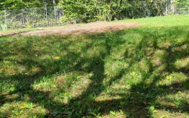 Building land - image - 7