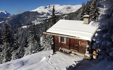 Chalet 3 pièces - image - 13