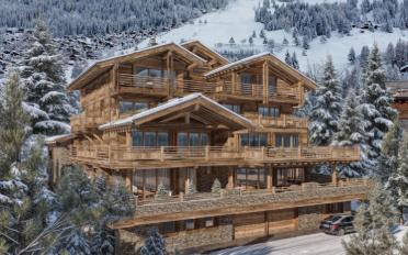 Chalet 11 rooms - image - 2