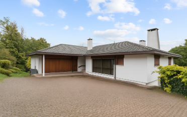 Single house 11 rooms - image - 1