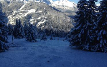 Chalet 8 Zimmer - image - 10