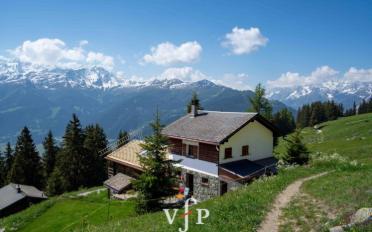 Chalet 4.5 rooms - image - 1
