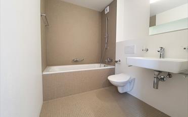 Apartment 3.5 rooms - image - 7